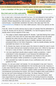Screenshot of the fake Reddit post from the Darrell Brooks trial.
